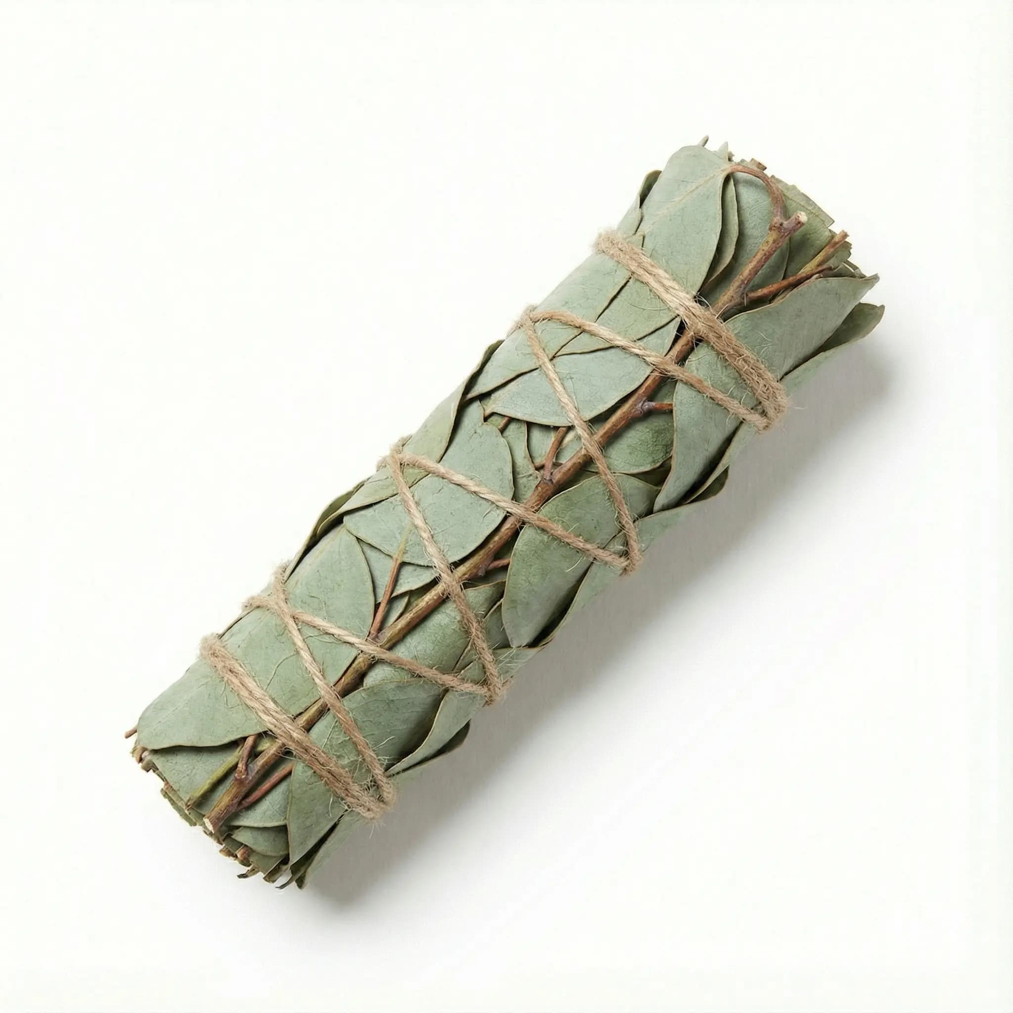 Eucalyptus Smudge Sticks 6"