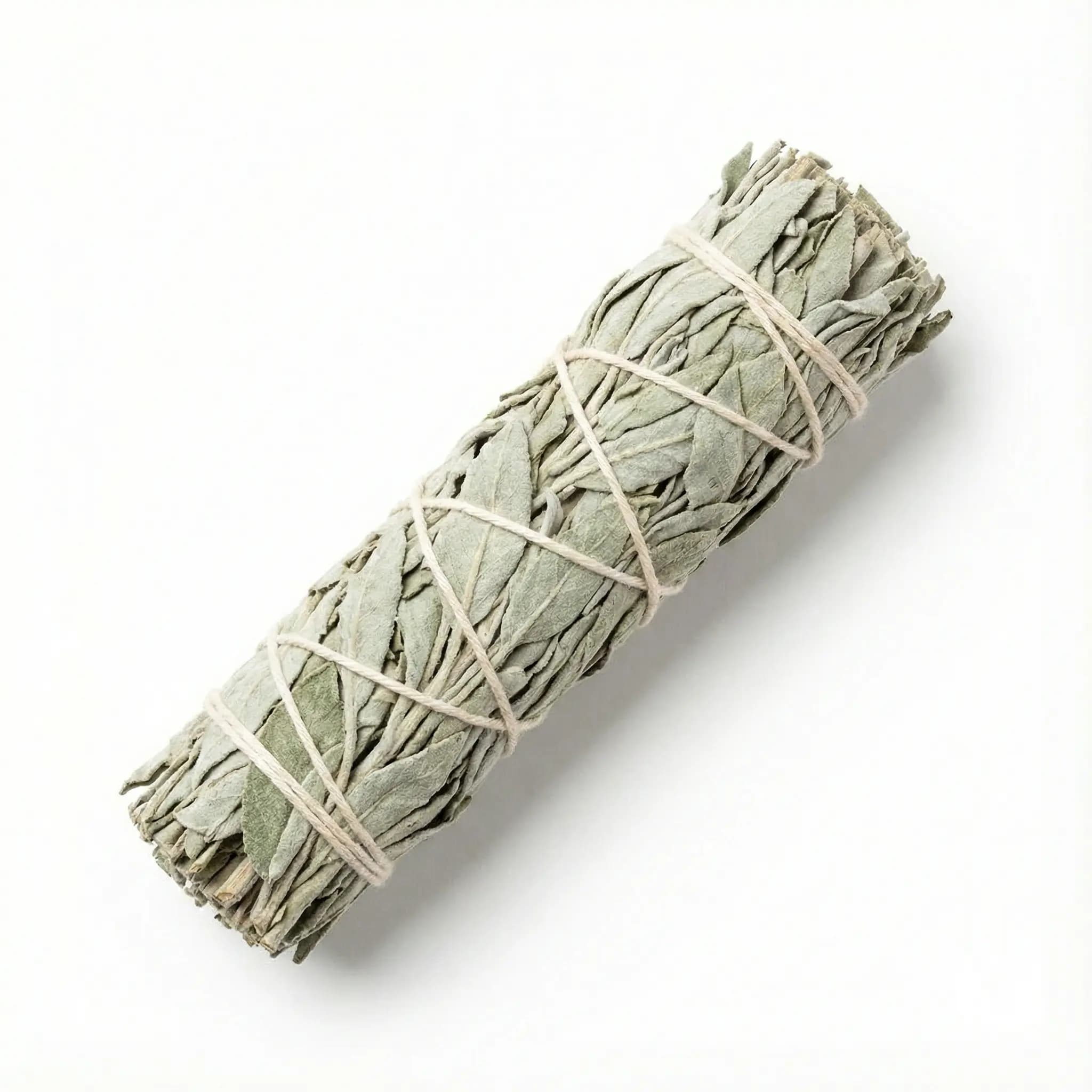 White Sage Smudge Sticks 6"